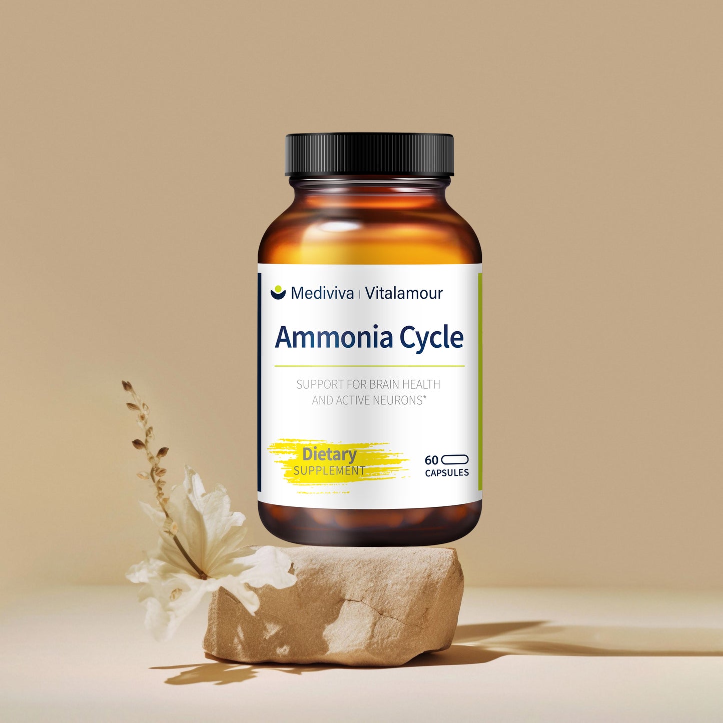Ammonia Cycle